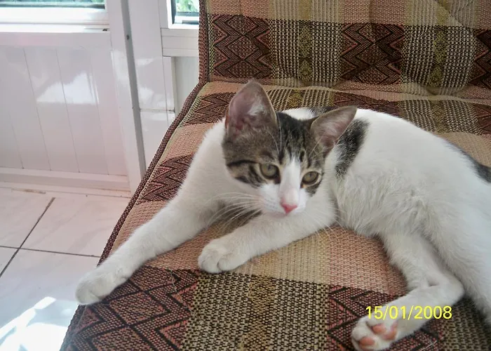 Lägenhetshotell Family